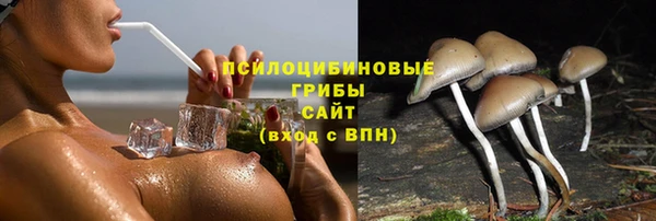 экстази Арсеньев
