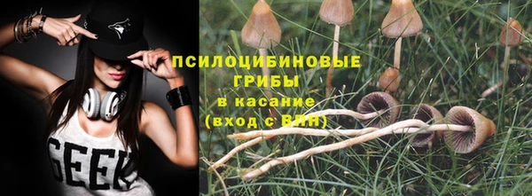 каннабис Аркадак